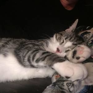 Meet your Posher, Vera